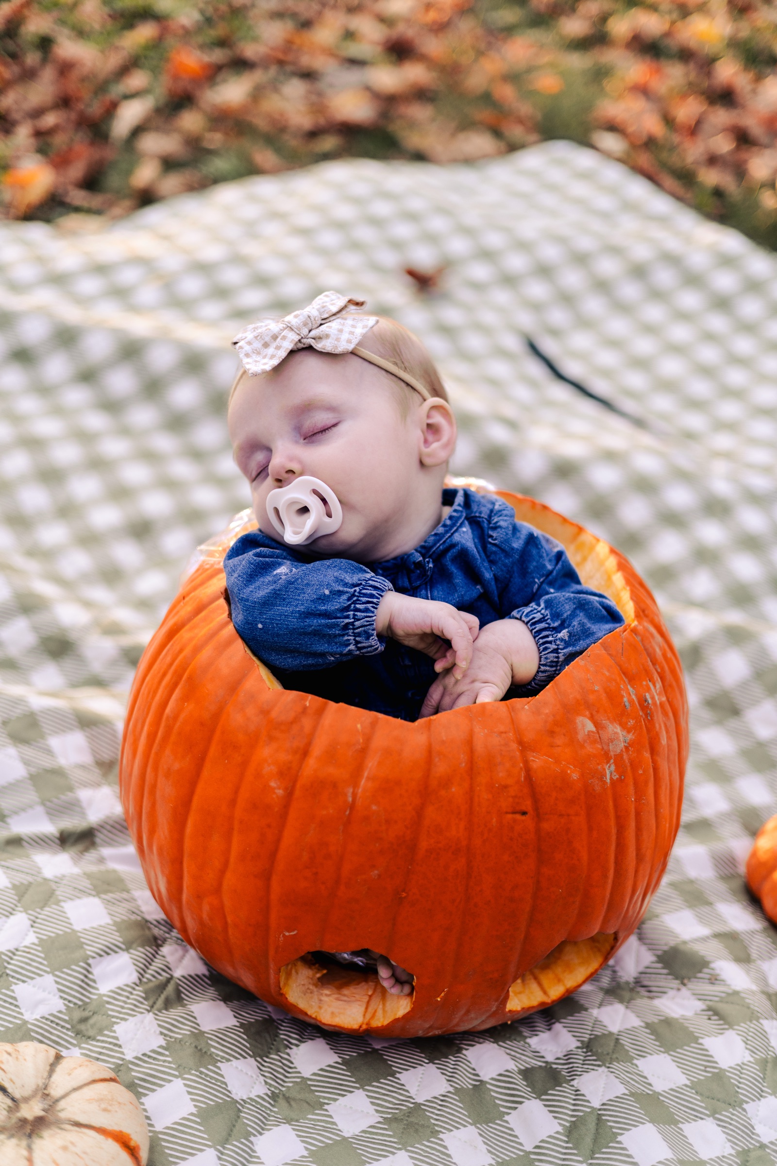 Family Camping fall session