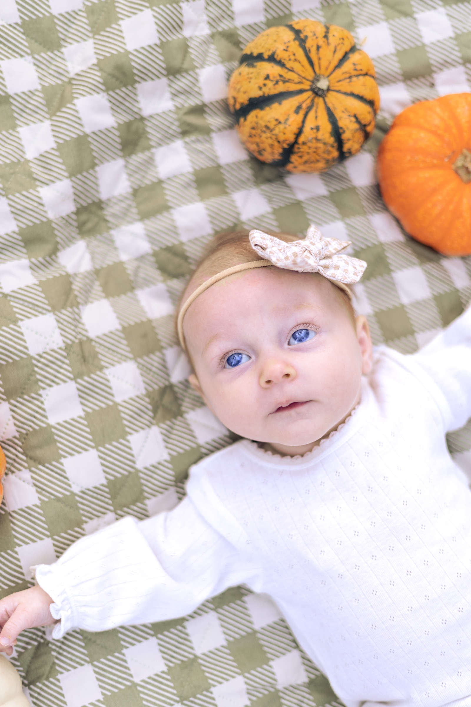 Family Camping fall session